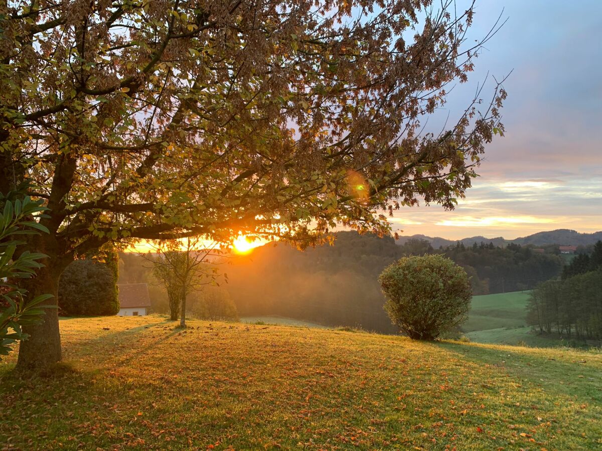 Erleben Sie die Sonnenaufgänge am Ofenmacherhof