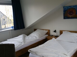 Casa per le vacanze De Cocksdorp Caratteristiche 10