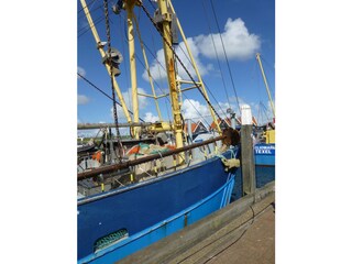 Casa per le vacanze De Cocksdorp Ambiente 19