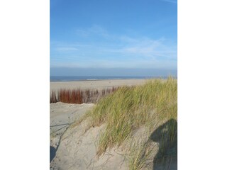 Casa per le vacanze De Cocksdorp Ambiente 21