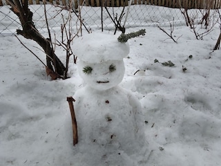Winter in unserem Garten