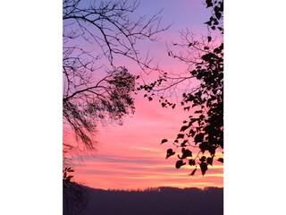 Abendstimmung vom Vogler