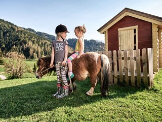 Appartamento per vacanze Bischofshofen Ambiente 12