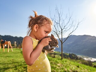 Appartamento per vacanze Bischofshofen Ambiente 13