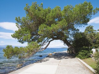 Apartamento de vacaciones Malinska Entorno 18