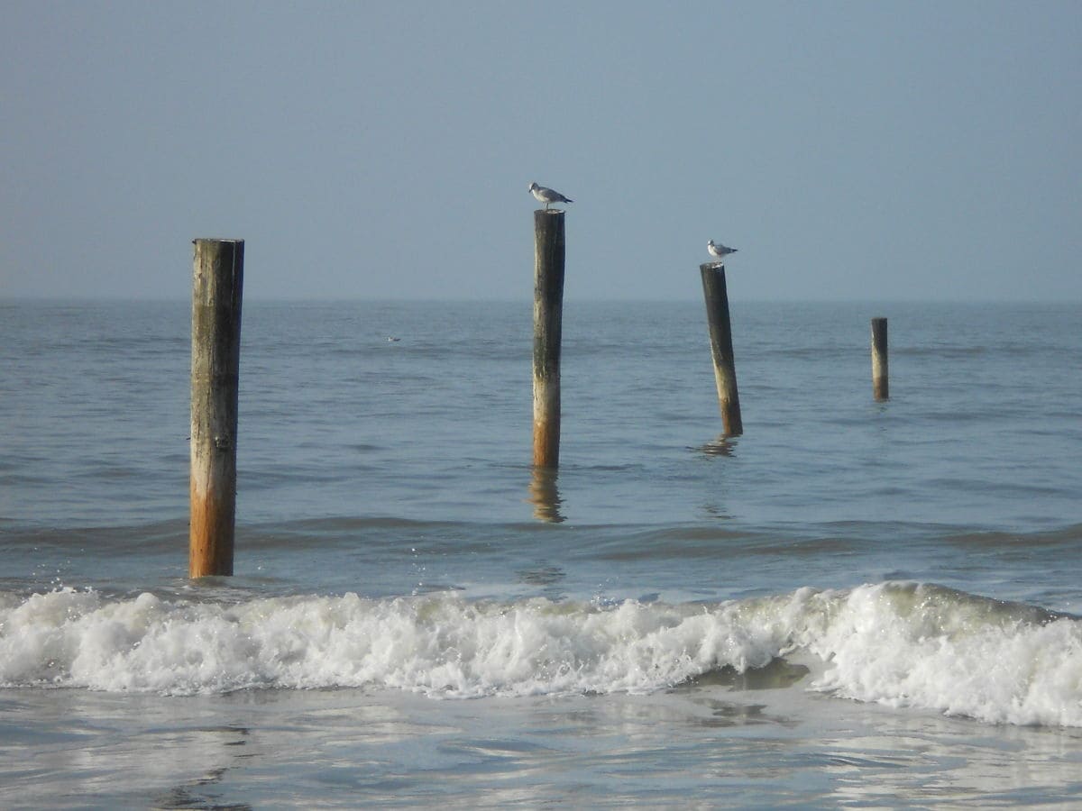 Meerblick vom Strand