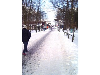 Way to the beach in winter