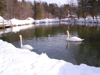 Vakantieappartement Bad Aussee Buitenaudio-opname 14