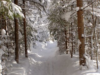 Appartamento per vacanze Bad Aussee Registrazione all'aperto 20