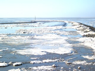 Wattenmeer im Winter