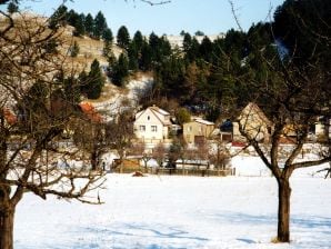 Ferienhaus Bienemann - Wernigerode - image1