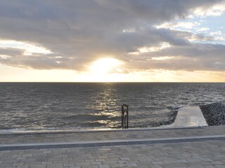Seehundstation Friedrichskoog