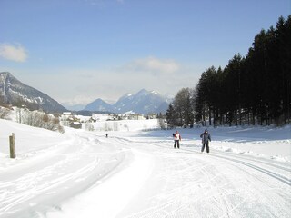 Langlaufen im Ausseerland