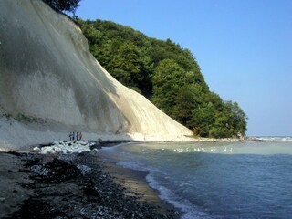 Kreidefelsen auf Rügen