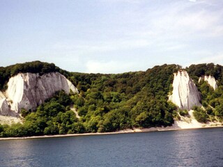 Kreidefelsen auf Rügen