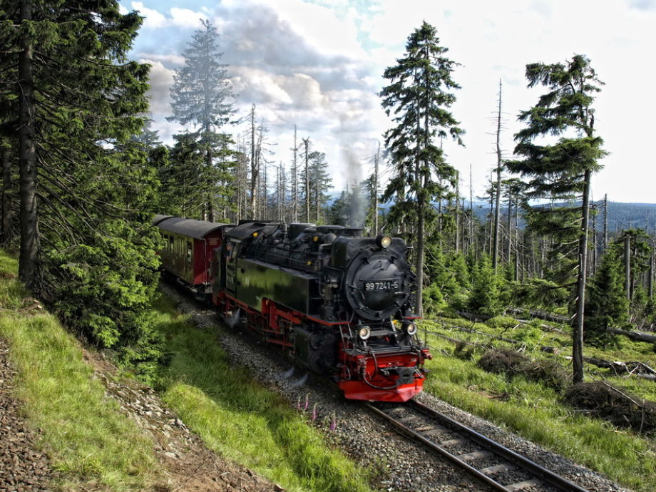 Ferienwohnung Schierke, Schierke am Brocken Nationalpark Harz