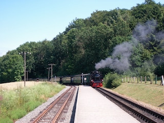 eine Fahrt mit dem Rasenden Roland ein Erlebnis