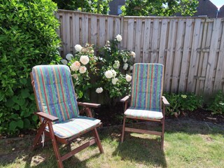 Bungalow Domburg Registrazione all'aperto 4