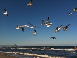 Ostseestrand
