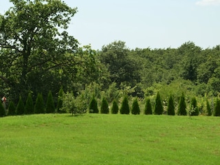 Blick von der Terrasse
