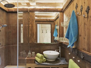 Appartamento per vacanze Haus im Ennstal Caratteristiche 14