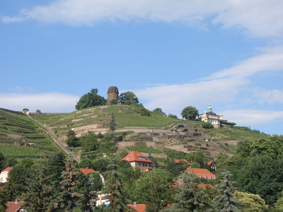 Single frauen radebeul