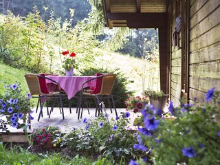 Vakantieappartement Haus im Ennstal Buitenaudio-opname 7