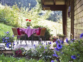 Vakantieappartement Haus im Ennstal Buitenaudio-opname 6