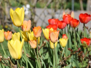 Appartamento per vacanze Vöran Registrazione all'aperto 14