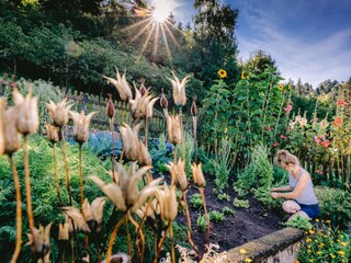 Appartamento per vacanze Vöran Registrazione all'aperto 17