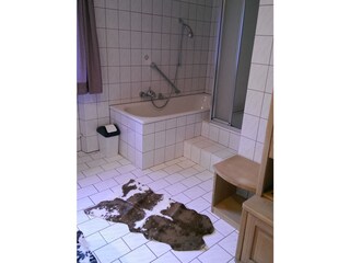 Vakantiehuis Mellau Kenmerken 22