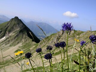 Casa per le vacanze Mellau Ambiente 25
