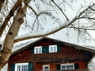 Ferienhaus Mellau Außenaufnahme 10