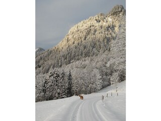 Casa per le vacanze Mellau Registrazione all'aperto 11