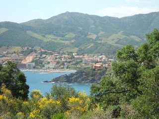 Appartamento per vacanze Banyuls-sur-Mer Ambiente 12