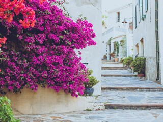 Appartamento per vacanze Banyuls-sur-Mer Registrazione all'aperto 3