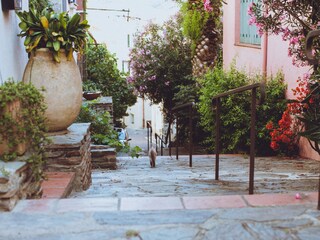 Appartamento per vacanze Banyuls-sur-Mer Ambiente 17