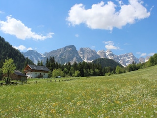 Ferienhaus mit Umgebung