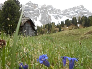 Appartement de vacances St. Martin in Thurn Environnement 21