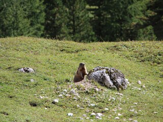 Appartamento per vacanze St. Martin in Thurn Ambiente 20