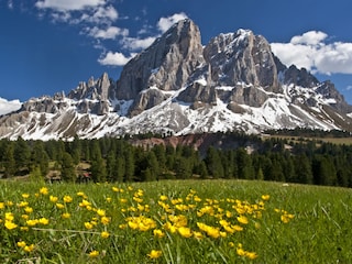 Frühling am Peitlerkofel