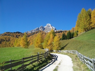 Herbst in Campill