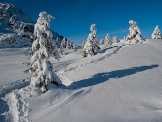 Schneeschuhwanderung (in der Nacht hat es geschneit)