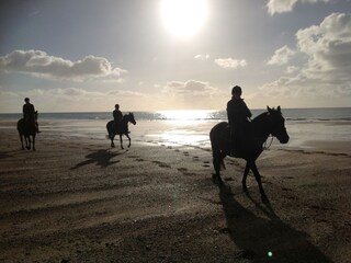 Reiten am Strand