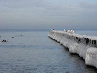Zingst im Winter