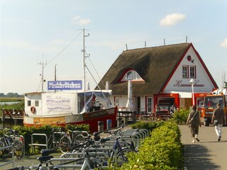 Ferienwohnung Zingst Umgebung 11