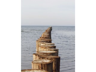 Ferienwohnung Zingst Umgebung 12