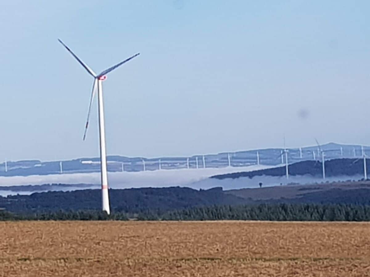 Blick Richtung Mosel mit Nebel