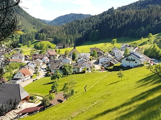 Schwarzwalddorf Hornberg-Niederwasser