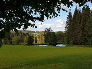 Holiday apartment Hornberg Environment 22